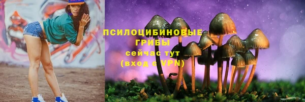 стафф Мегион