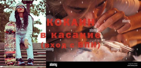 крисы Медвежьегорск