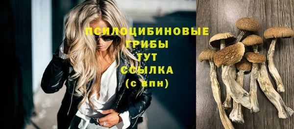 трава Медногорск