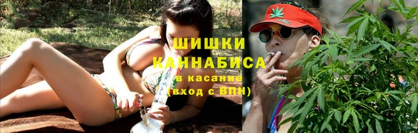 трава Медногорск