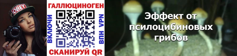Галлюциногенные грибы мухоморы  Киров 