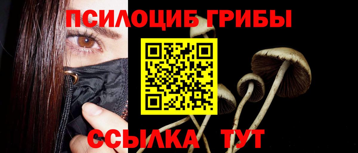 Псилоцибиновые грибы Magic Shrooms  Киров 