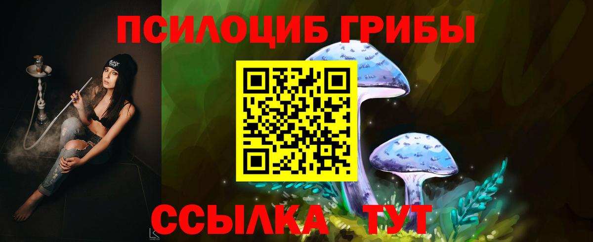 Киров  Псилоцибиновые грибы Psilocybe  Вход с VPN 